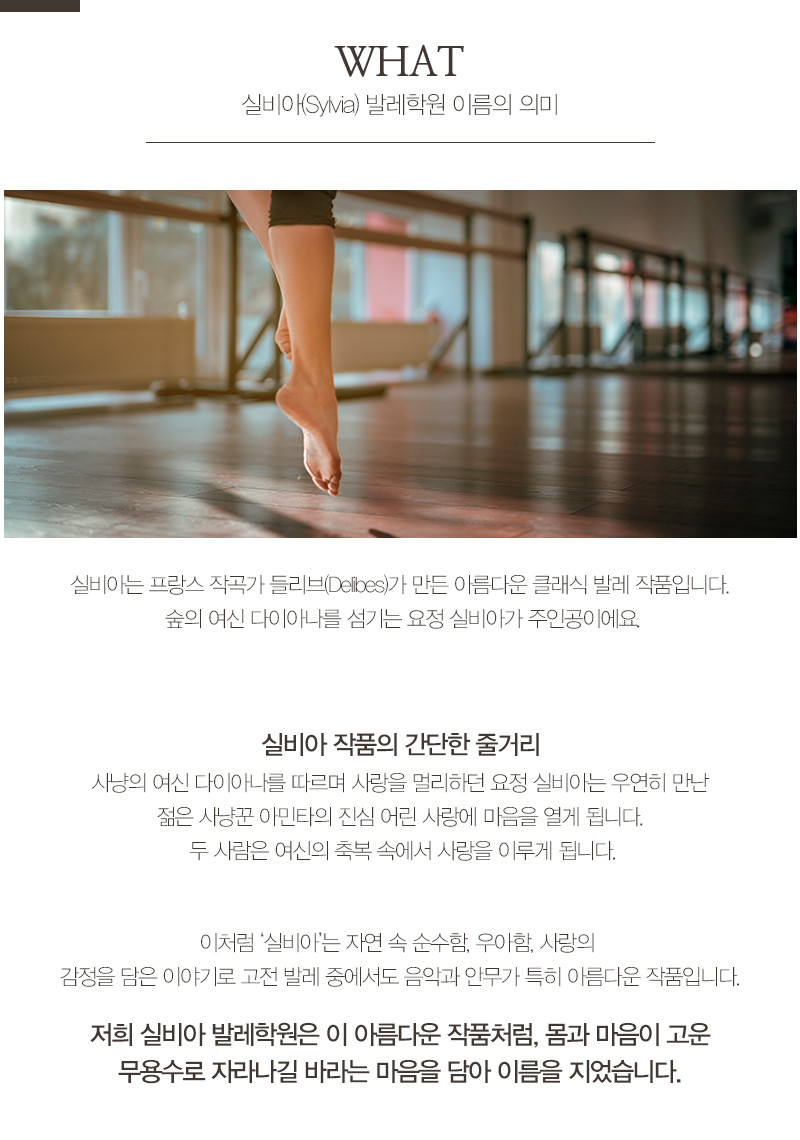 실비아발레학원_내용